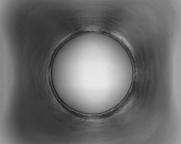 X0000092270529200709140906