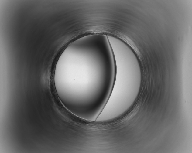 X0000092270530200709140906