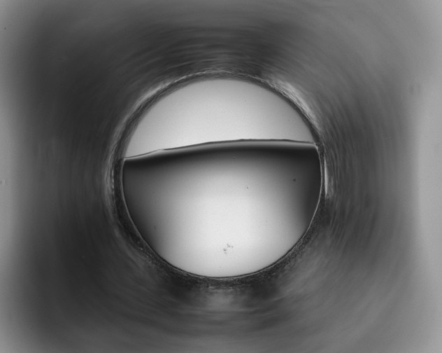 X0000092270531200709140906