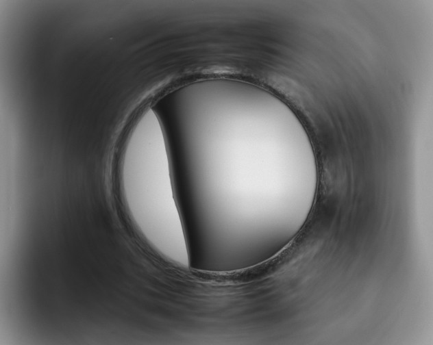 X0000092270535200709140906