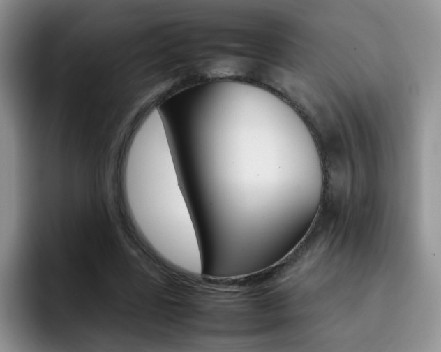 X0000092270539200709140906