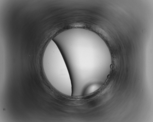 X0000092270541200709140906
