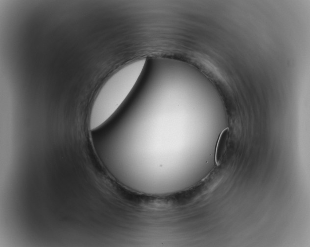 X0000092270546200709140906