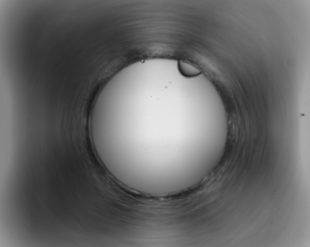 X0000092270550200709140906