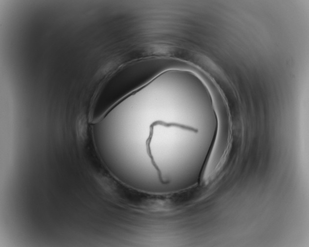 X0000092270552200709140906