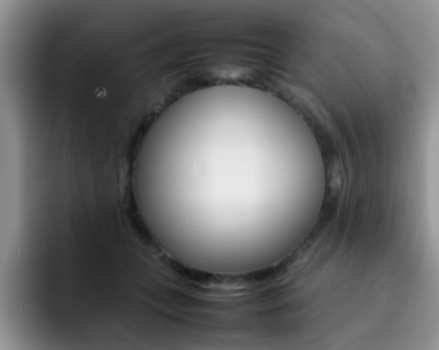 X0000092270559200709140906