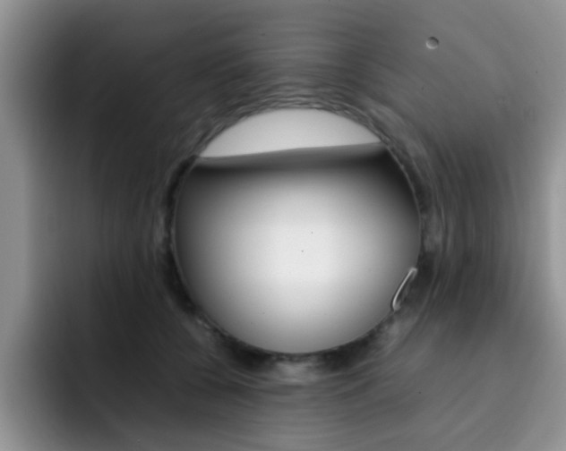 X0000092270560200709140906