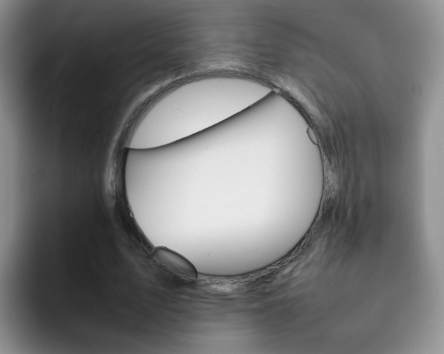 X0000092270583200709140906