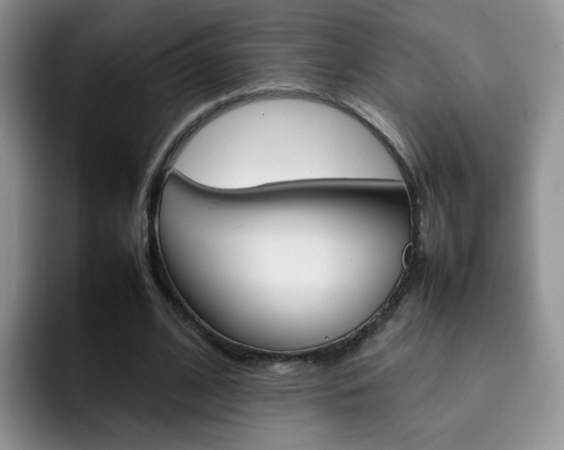 X0000092270584200709140906