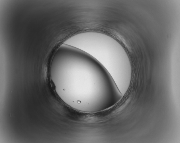 X0000092270589200709140906