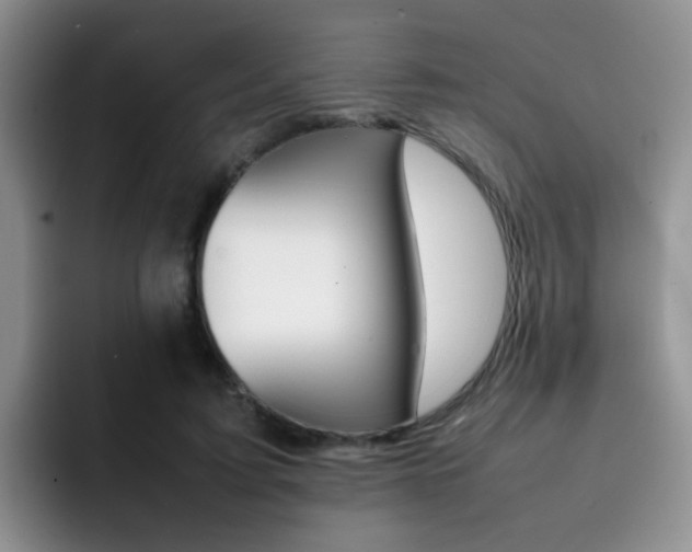 X0000092270595200709140906