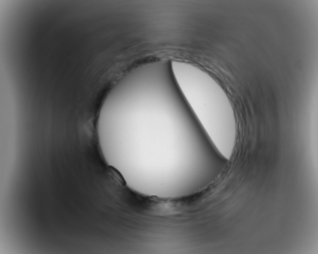 X0000092270611200709140905