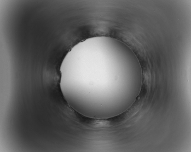 X0000092270617200709140905