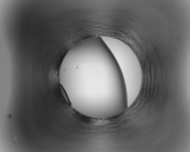 X0000092270621200709140905