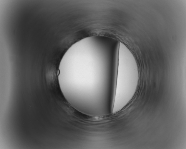 X0000092270623200709140905