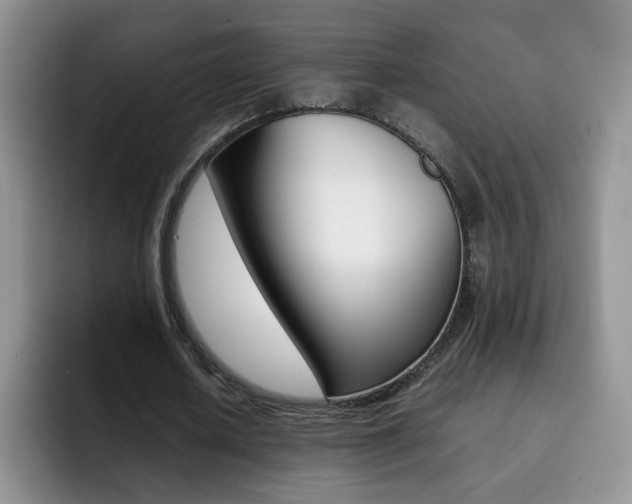 X0000092270626200709140905