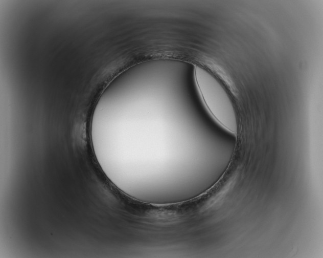X0000092270633200709140905