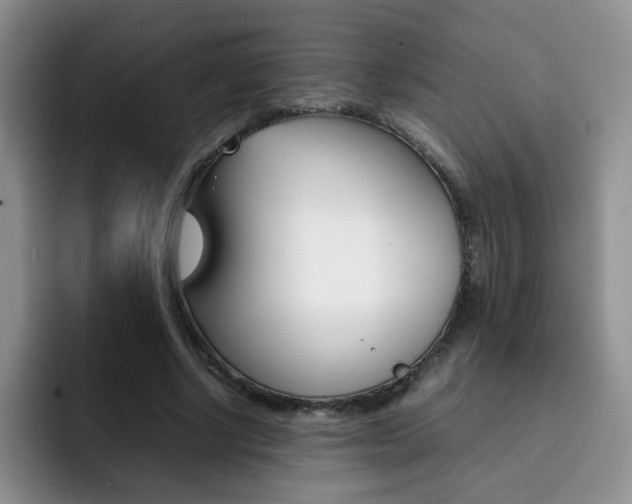 X0000092270634200709140905