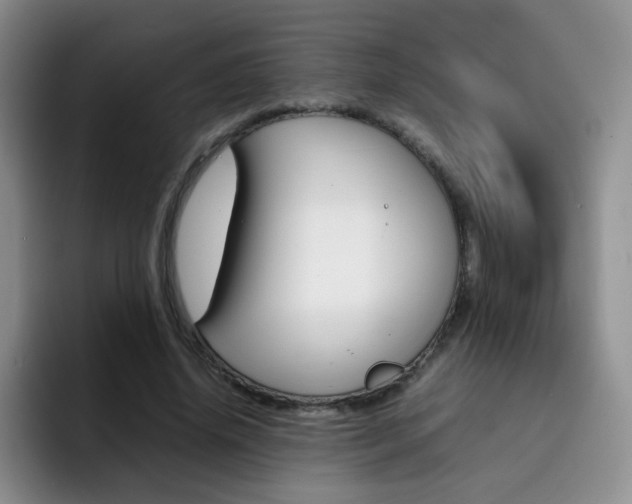 X0000092270636200709140905
