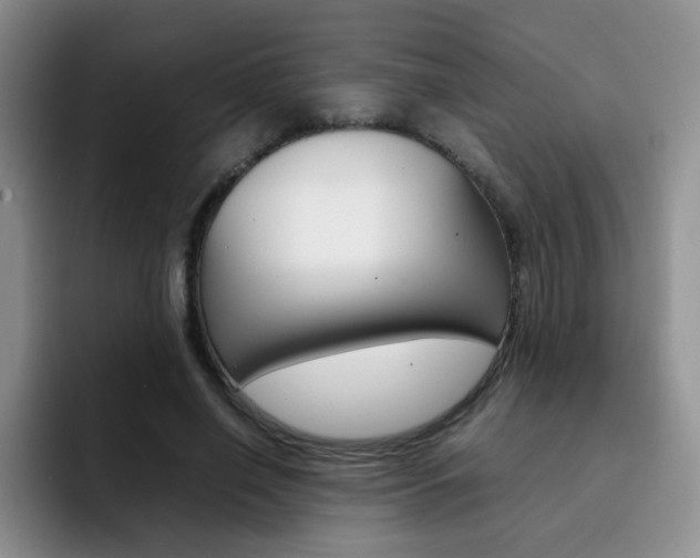 X0000092270638200709140905