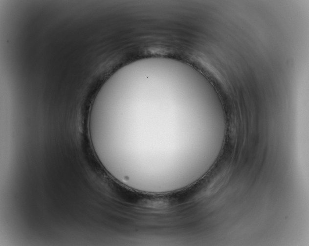 X0000092270639200709140905