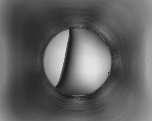 X0000092270641200709140905