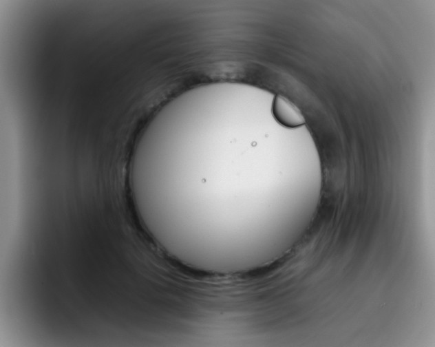 X0000092270652200709140905