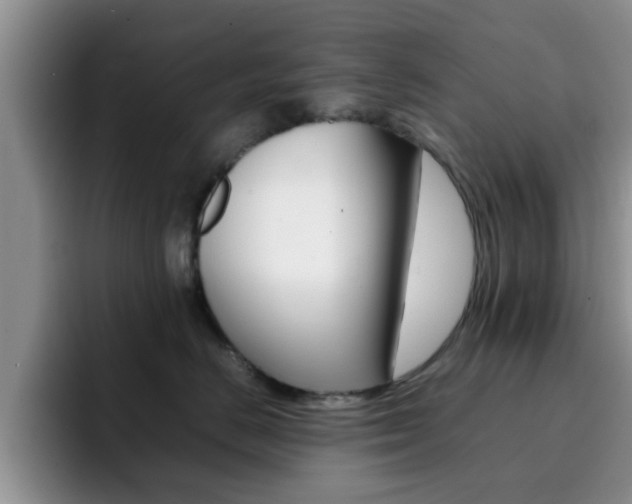 X0000092270670200709140905