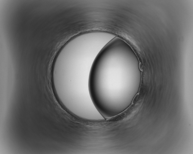 X0000092270673200709140905