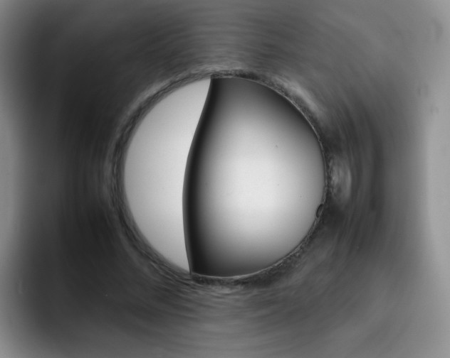 X0000092270684200709140905
