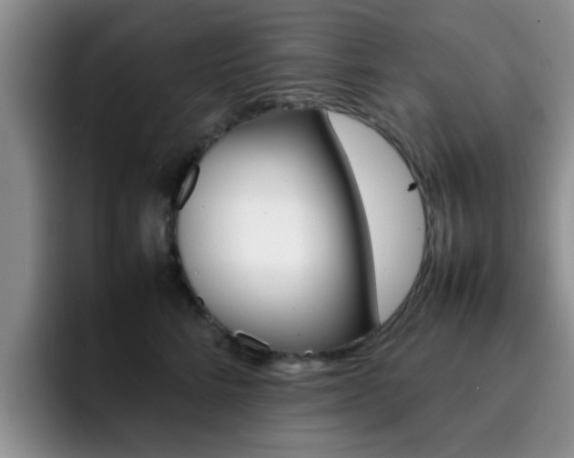 X0000092270712200709140904