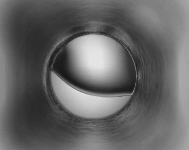 X0000092270724200709140904