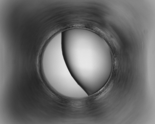 X0000092270725200709140904