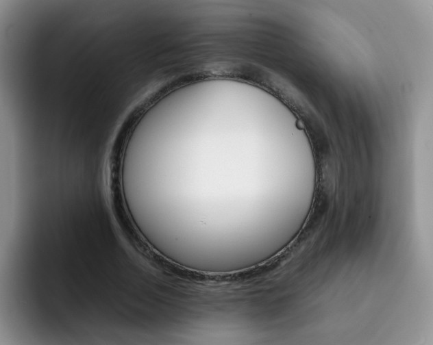 X0000092270730200709140904