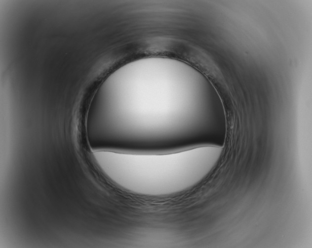 X0000092270732200709140904