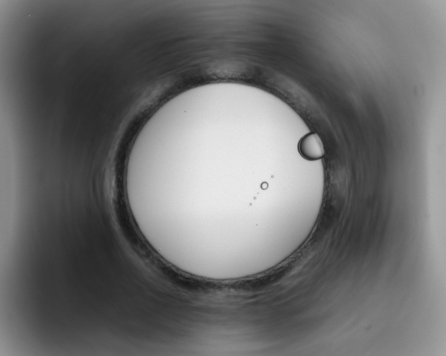 X0000092270734200709140904