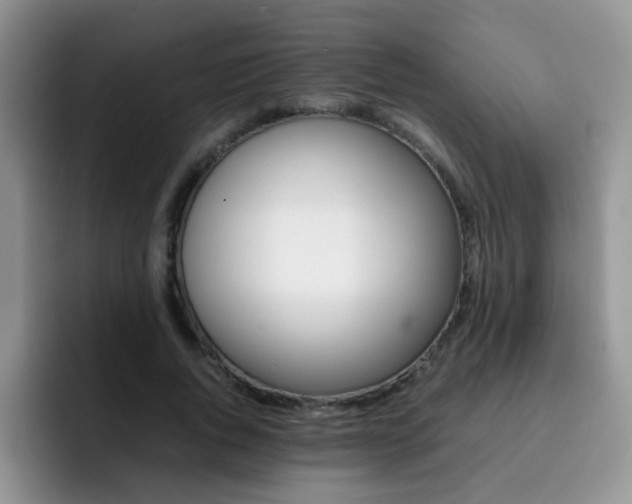 X0000092270736200709140904
