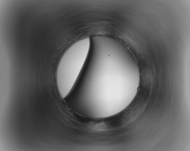 X0000092270747200709140904