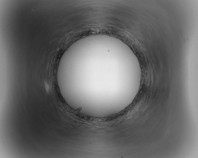 X0000092270770200709140904