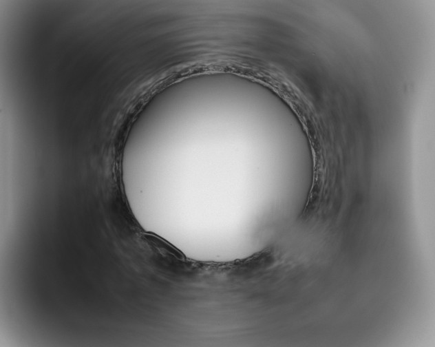 X0000092270773200709140904