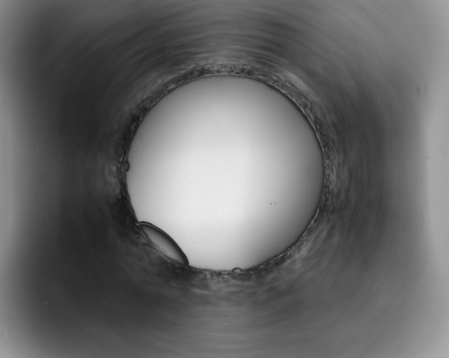 X0000092270774200709140904