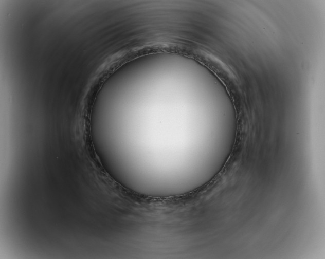 X0000092270776200709140904