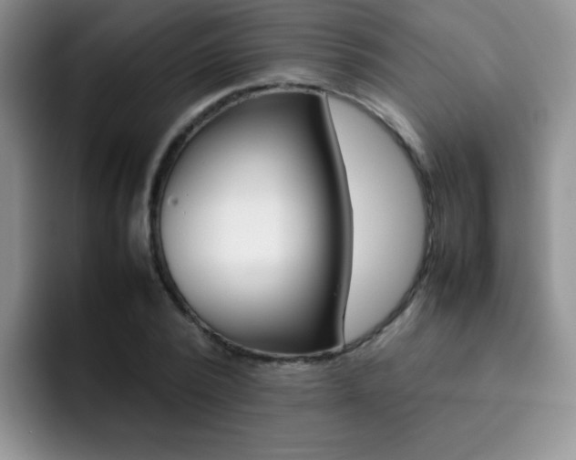 X0000092270784200709140903