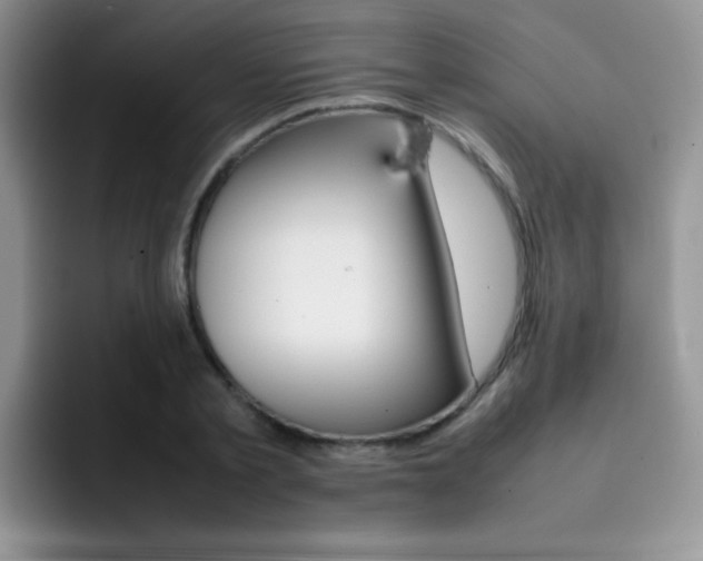 X0000092270789200709140903