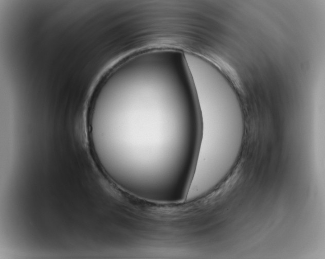 X0000092270792200709140903