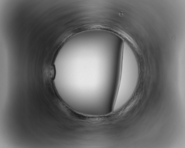 X0000092270793200709140903