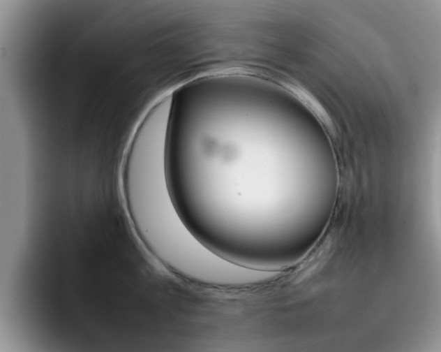 X0000092270813200709140903