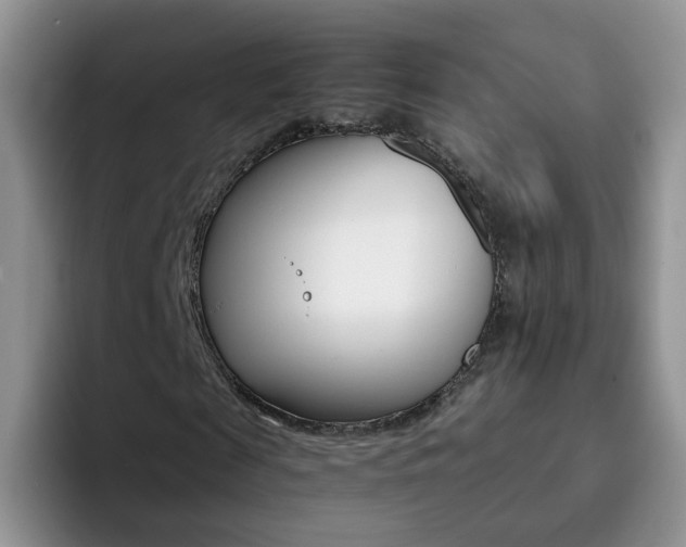 X0000092270817200709140903