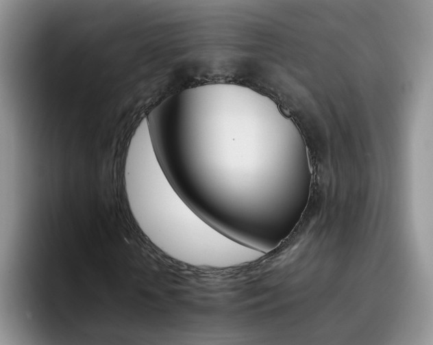 X0000092270818200709140903