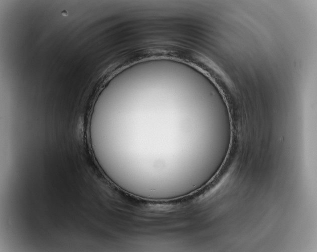 X0000092270825200709140903